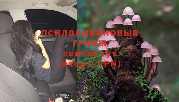 таблы Алзамай