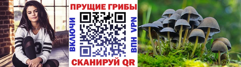 Псилоцибиновые грибы ЛСД  Михайловск 